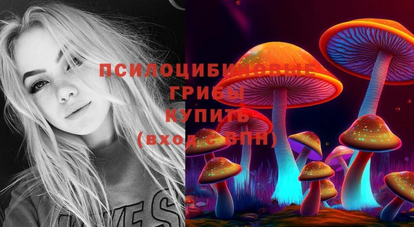 гидра Балахна