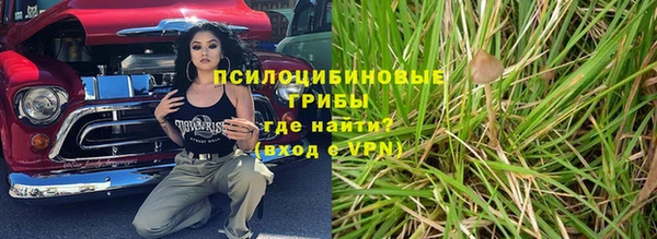 гидра Балахна