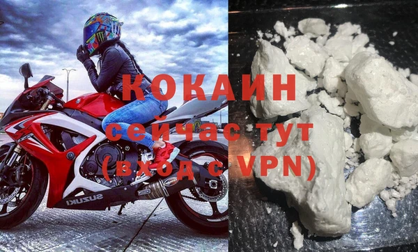 гидра Балахна